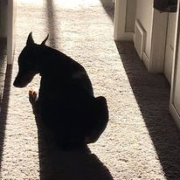 ❤️ for Shopgirl1912 - Picture 8 of 9